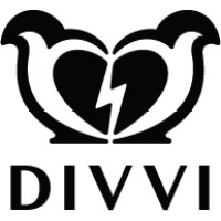 Divvi, Inc logo, Divvi, Inc contact details