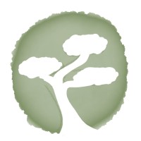 Bonsai Systems logo, Bonsai Systems contact details