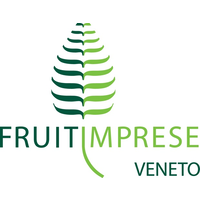 FRUITIMPRESE VENETO logo, FRUITIMPRESE VENETO contact details