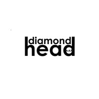 Diamond Head Srl logo, Diamond Head Srl contact details