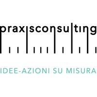 Praxis consulting srl logo, Praxis consulting srl contact details