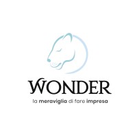 Wonder Italia logo, Wonder Italia contact details