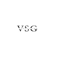 VSG Consulting srl logo, VSG Consulting srl contact details