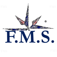 F.M.S. Consulting S.r.l. logo, F.M.S. Consulting S.r.l. contact details