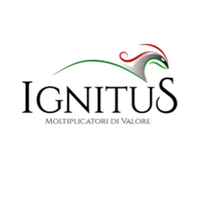 Ignitus - Moltiplicatori di Valore logo, Ignitus - Moltiplicatori di Valore contact details