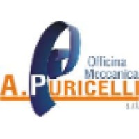 Officina Meccanica A. Puricelli srl - Società Unipersonale - Drilling tubesheets for heat exchangers logo, Officina Meccanica A. Puricelli srl - Società Unipersonale - Drilling tubesheets for heat exchangers contact details