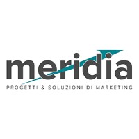 Meridia Team logo, Meridia Team contact details