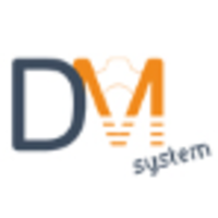 DM System S.r.l. logo, DM System S.r.l. contact details