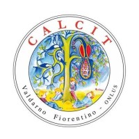 Calcit Valdarno Fiorentino logo, Calcit Valdarno Fiorentino contact details