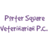 Porter Square Veterinarian logo, Porter Square Veterinarian contact details