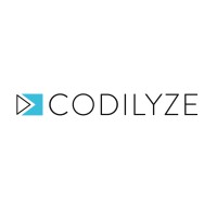 CODILYZE logo, CODILYZE contact details