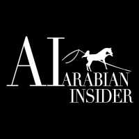 Arabian Insider logo, Arabian Insider contact details