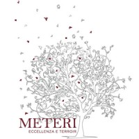 Meteri Srl logo, Meteri Srl contact details