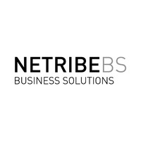 Netribe Business Solutions S.r.l. logo, Netribe Business Solutions S.r.l. contact details