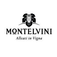 Montelvini logo, Montelvini contact details