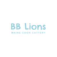 BB Lions - Maine Coon  Cattery logo, BB Lions - Maine Coon  Cattery contact details