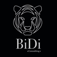 BiDi Swiss Consulting GmbH logo, BiDi Swiss Consulting GmbH contact details