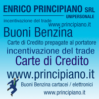 Enrico Principiano Srl Unipersonale logo, Enrico Principiano Srl Unipersonale contact details