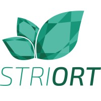 STRIORT TURKEY logo, STRIORT TURKEY contact details