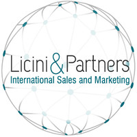 Licini & Partners logo, Licini & Partners contact details