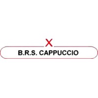 B.R.S. CAPPUCCIO S.R.L. logo, B.R.S. CAPPUCCIO S.R.L. contact details