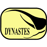 Dynastes s.r.l. logo, Dynastes s.r.l. contact details