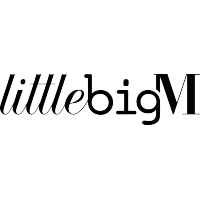 LITTLEBIGM logo, LITTLEBIGM contact details