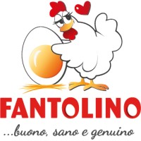 FANTOLINO logo, FANTOLINO contact details