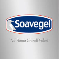 Soavegel S.r.l logo, Soavegel S.r.l contact details