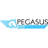 PEGASUS MSP SRL logo, PEGASUS MSP SRL contact details