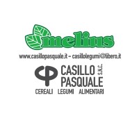 Casillo Pasquale s.n.c. di Angelo & Aniello Casillo logo, Casillo Pasquale s.n.c. di Angelo & Aniello Casillo contact details