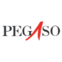 Pegaso Management Consultants S.p.A. logo, Pegaso Management Consultants S.p.A. contact details