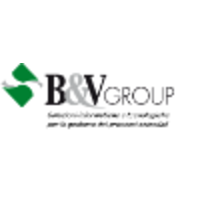 B&V Group Srl logo, B&V Group Srl contact details