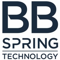 BB Spring Technology Srl logo, BB Spring Technology Srl contact details