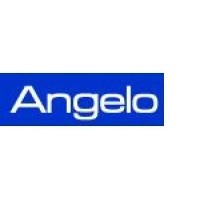 angelomarinelli.it logo, angelomarinelli.it contact details