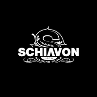 SCHIAVON SRL logo, SCHIAVON SRL contact details