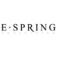 E-SPRING Consulting logo, E-SPRING Consulting contact details