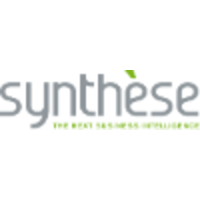 Synthèse srl logo, Synthèse srl contact details