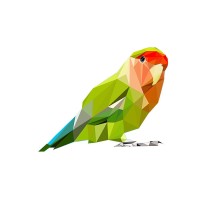 Digital Parrot logo, Digital Parrot contact details