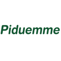 PIDUEMME S.R.L. logo, PIDUEMME S.R.L. contact details