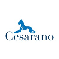 Cesarano s.a.s. logo, Cesarano s.a.s. contact details