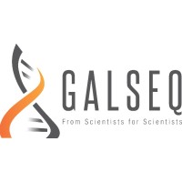 GALSEQ SRL logo, GALSEQ SRL contact details