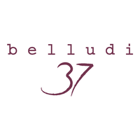 Belludi 37 Hotel logo, Belludi 37 Hotel contact details