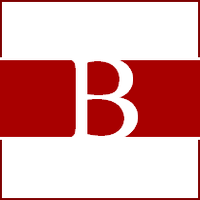 Bruni & Partners logo, Bruni & Partners contact details