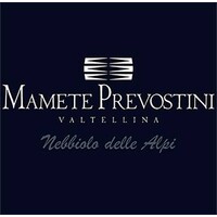 Mamete Prevostini logo, Mamete Prevostini contact details