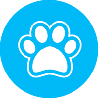 yWoof logo, yWoof contact details