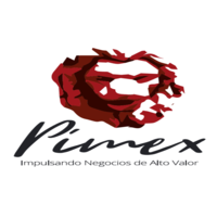 Impulso y Desarrollo PIMEX logo, Impulso y Desarrollo PIMEX contact details