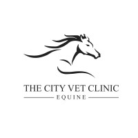 The City Vet Equine Clinic logo, The City Vet Equine Clinic contact details