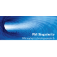 PM Singularity Corporation logo, PM Singularity Corporation contact details