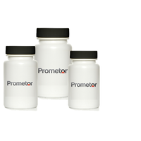 Prometor logo, Prometor contact details